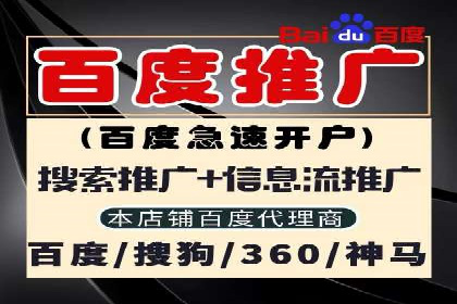 某知名企业SEM营销全案解析
